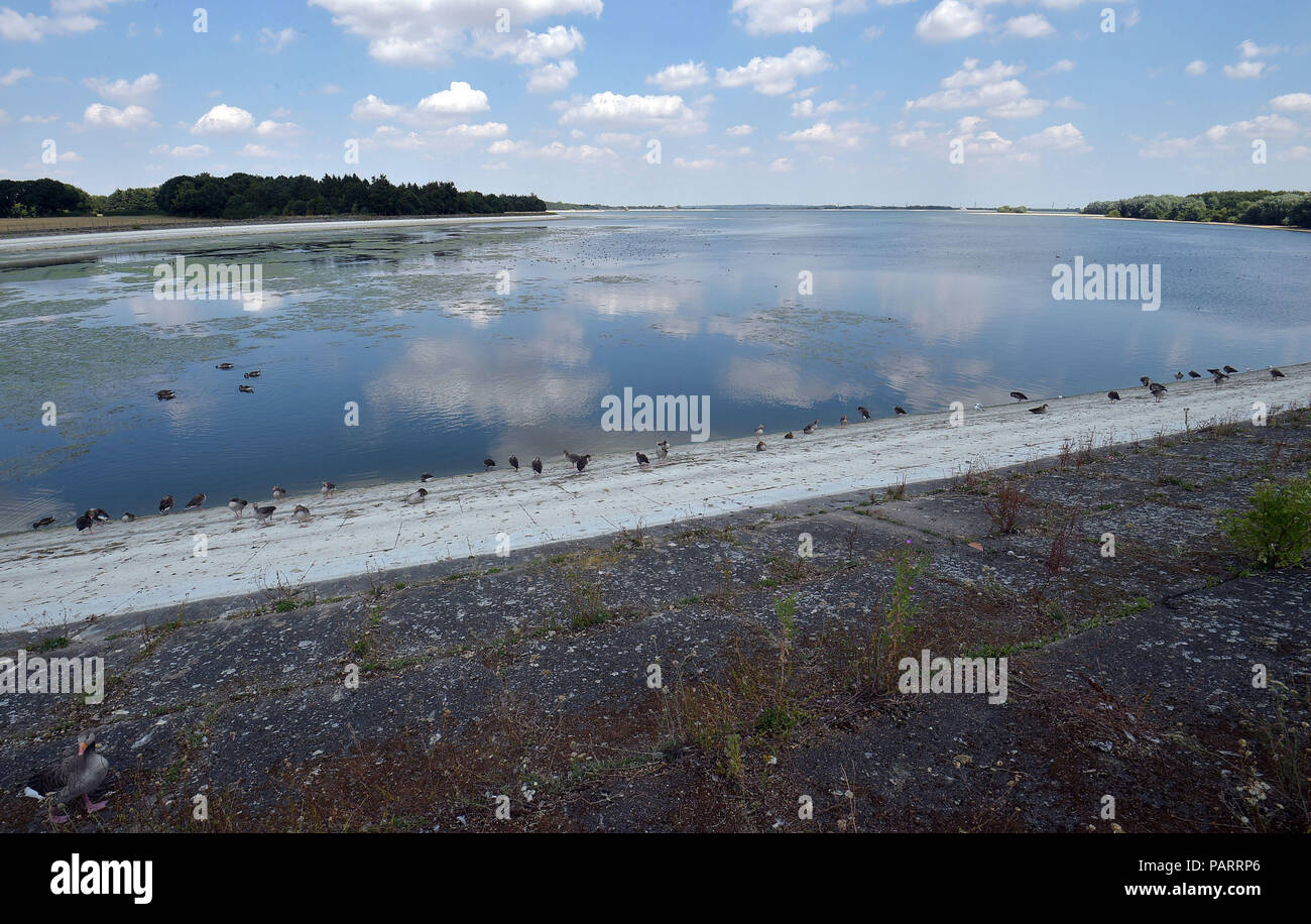 Very low water levels, which normally sits on the weeded banks, at Hanningfield reservoir, near Chelmsford in Essex, as the hot weather continues across the country. Stock Photo
