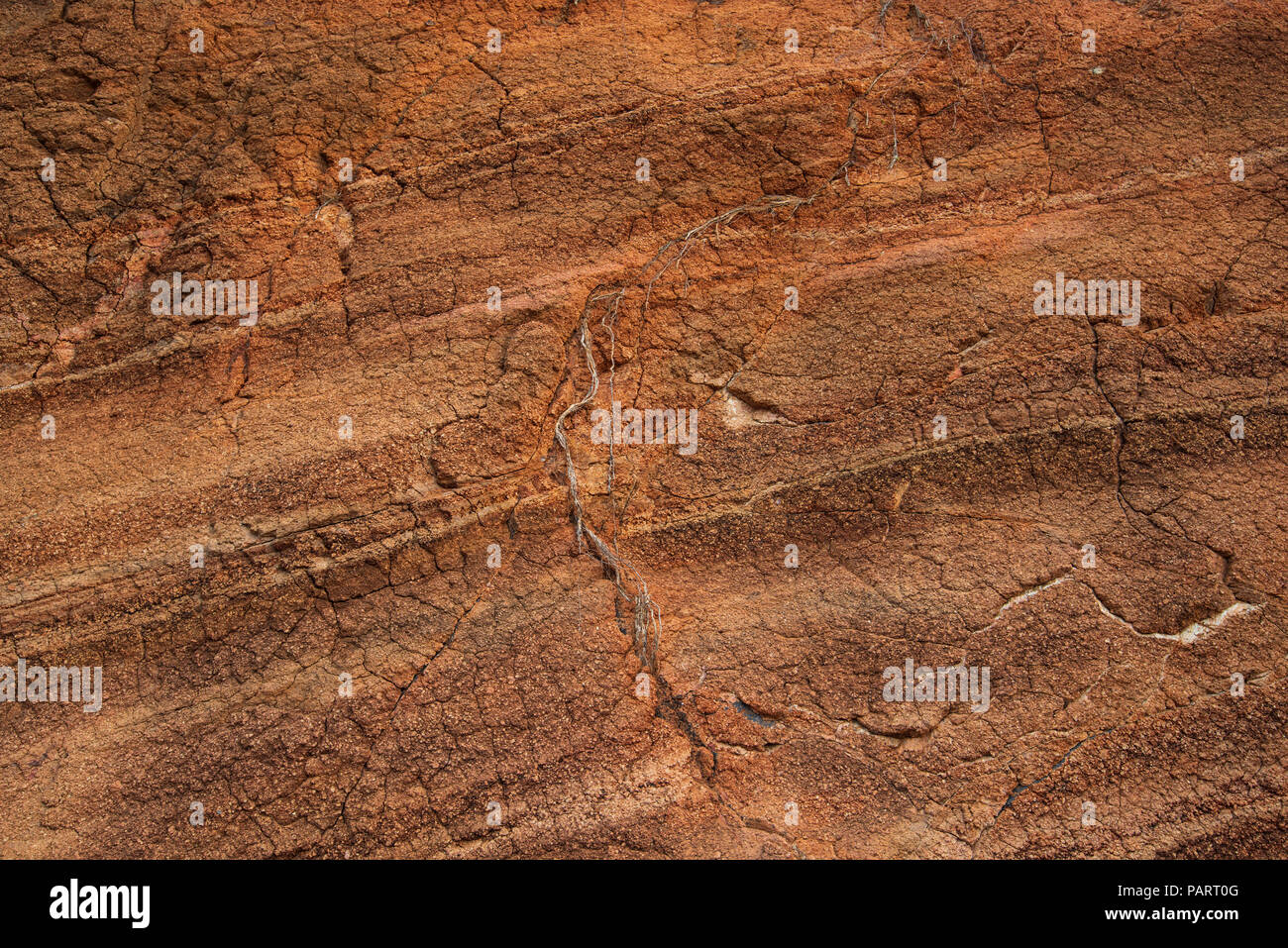 Red soil texture Stock Photo