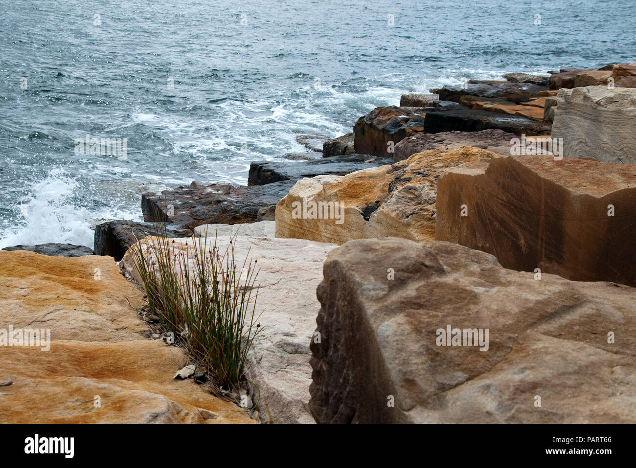 Sydney Australia, sandstone blocks on the shoreline Stock Photo - Alamy