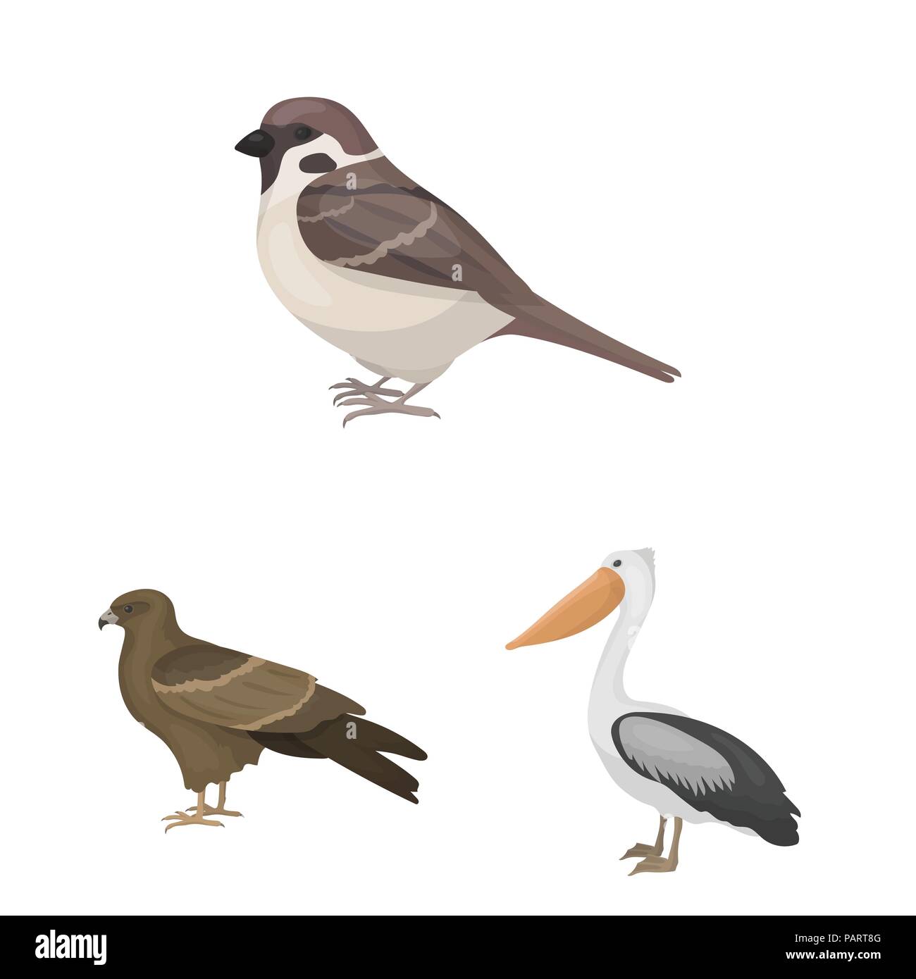 Types of birds cartoon icons in set collection for design. Home and ...