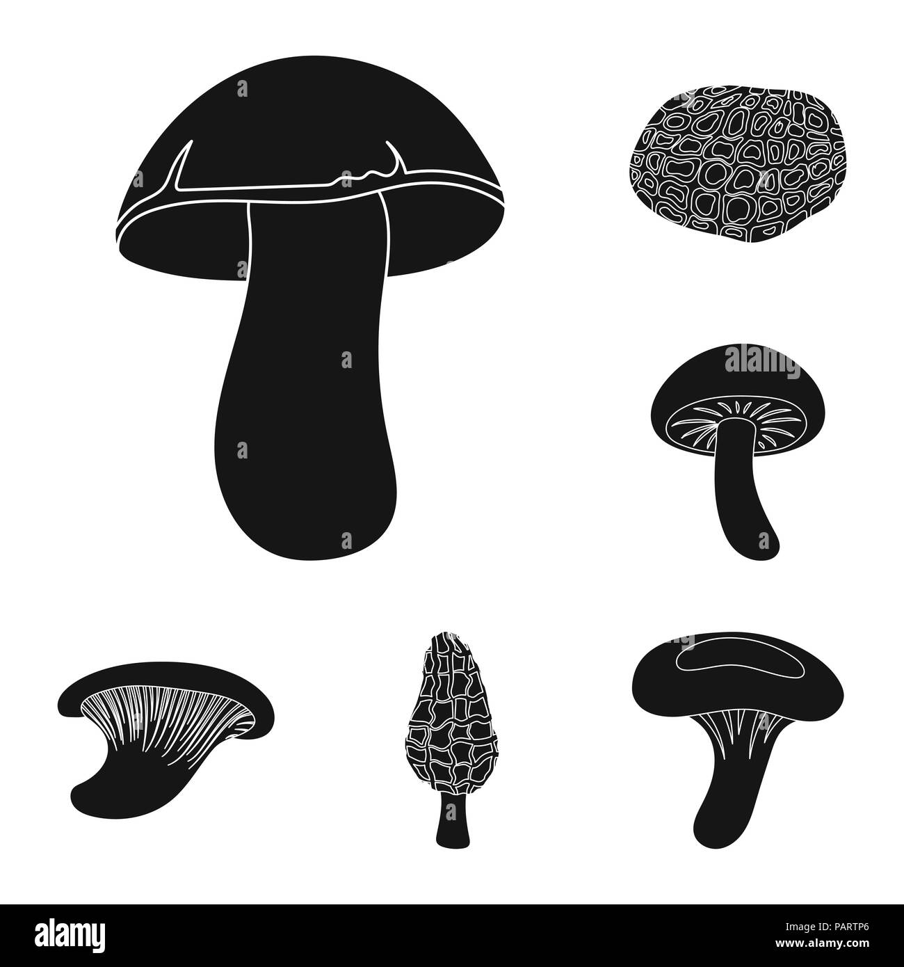 Poisonous and edible mushroom black icons in set collection for design. Different types of mushrooms vector symbol stock  illustration. Stock Vector