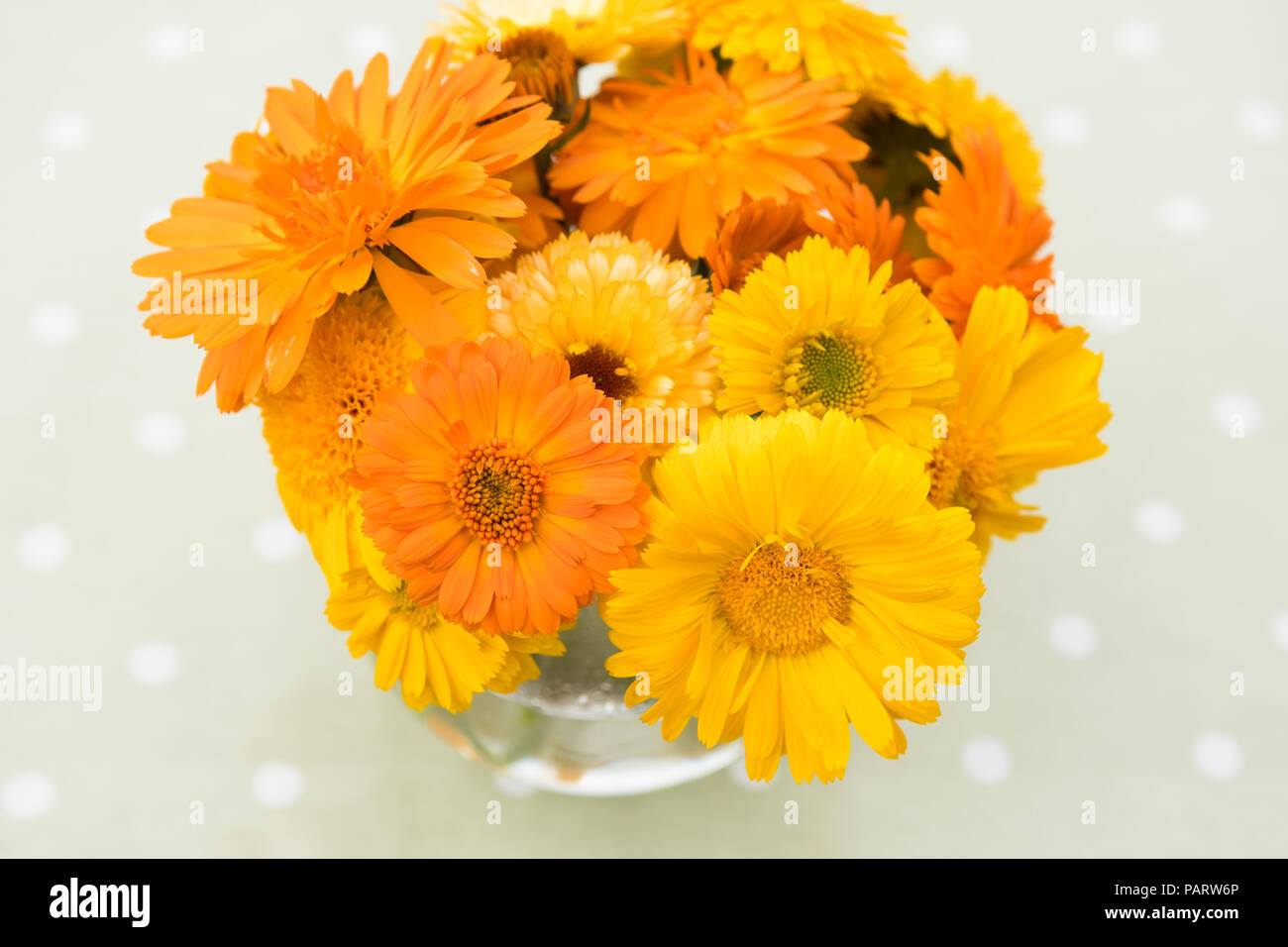 Pot marigolds hires stock photography and images Alamy