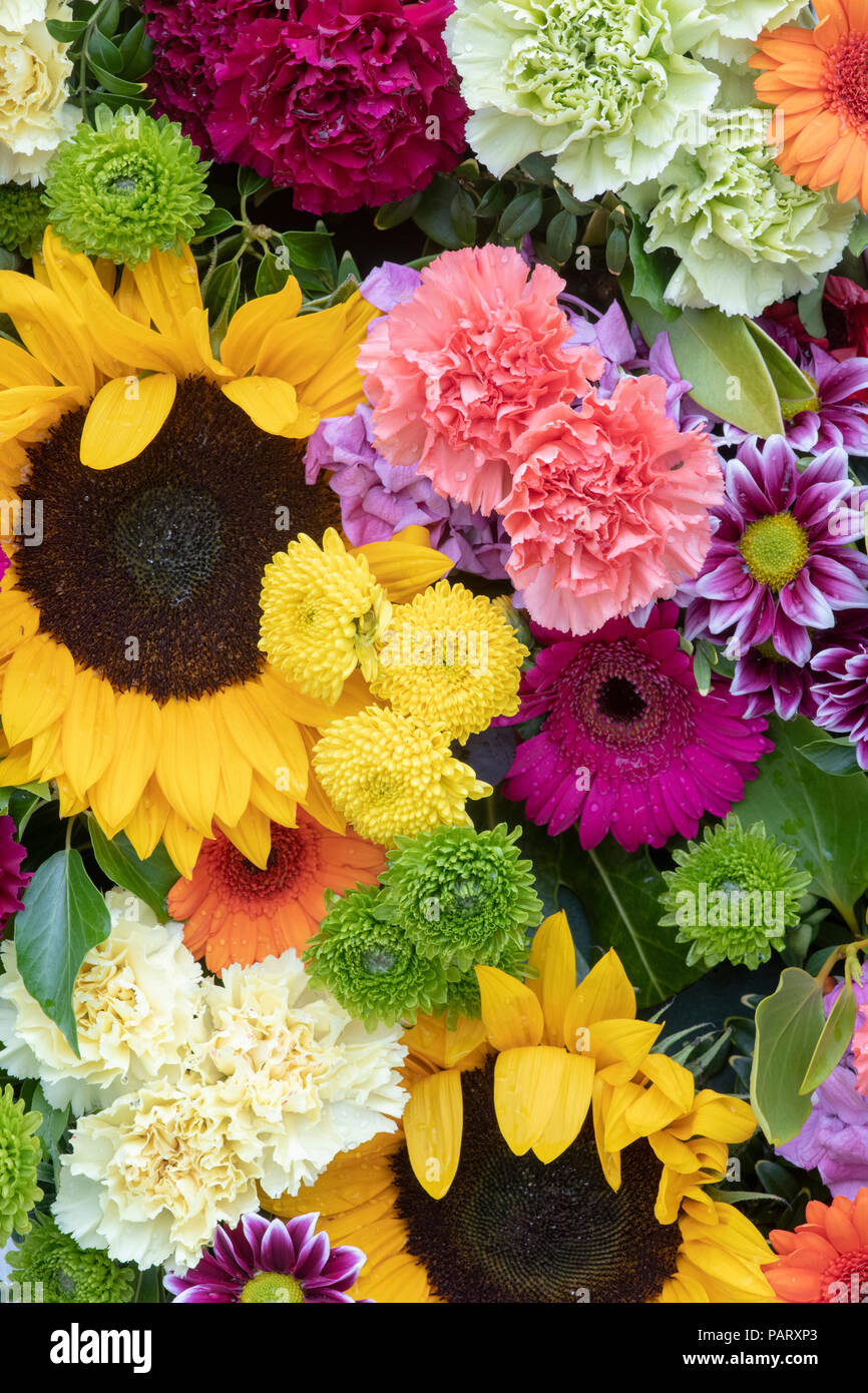 Cut flower display at the RHS Tatton park flower show 2018. Cheshire, UK Stock Photo
