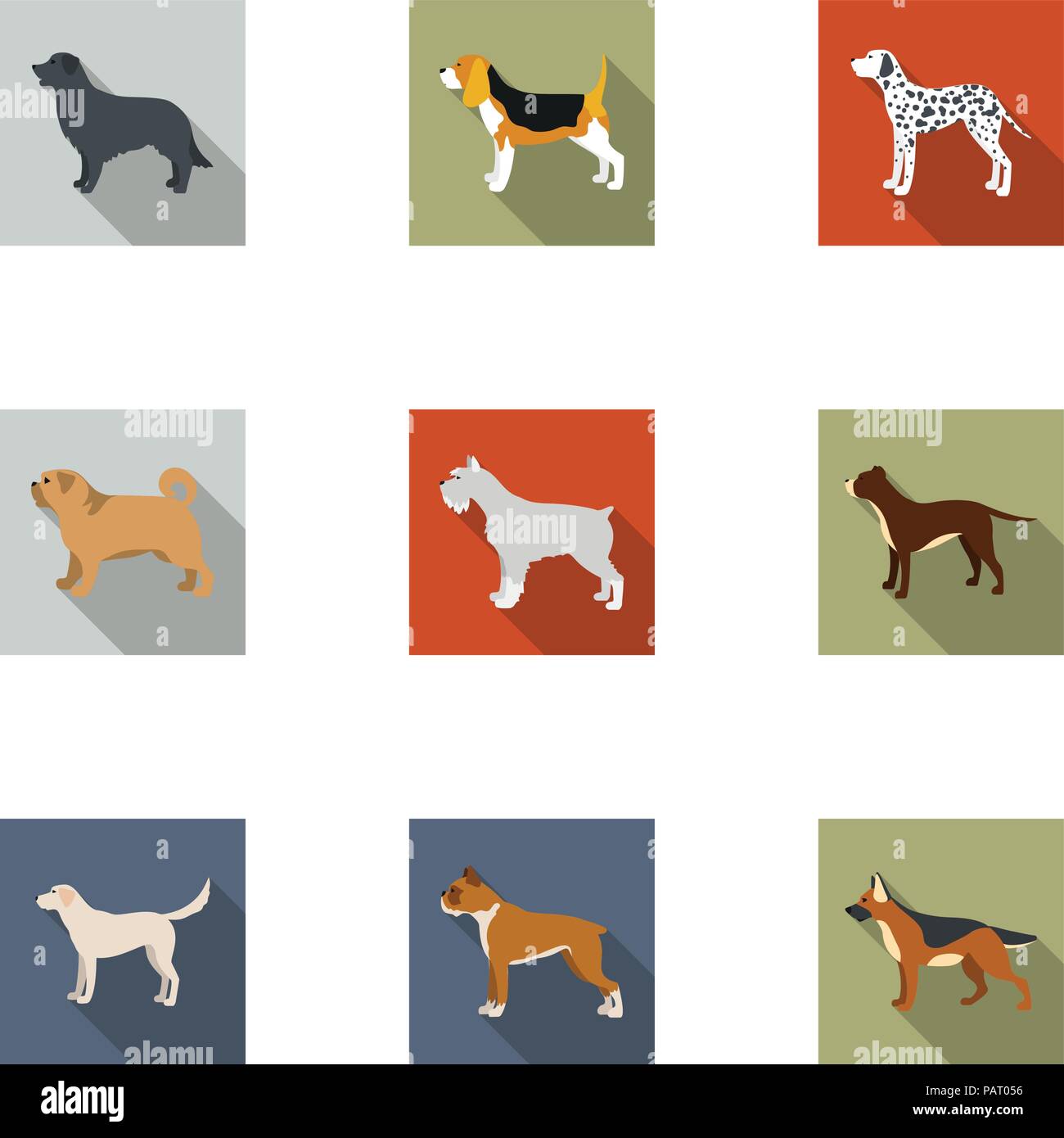 Dog breeds set icons in flat style. Big collection of dog breeds vector symbol stock Stock Vector
