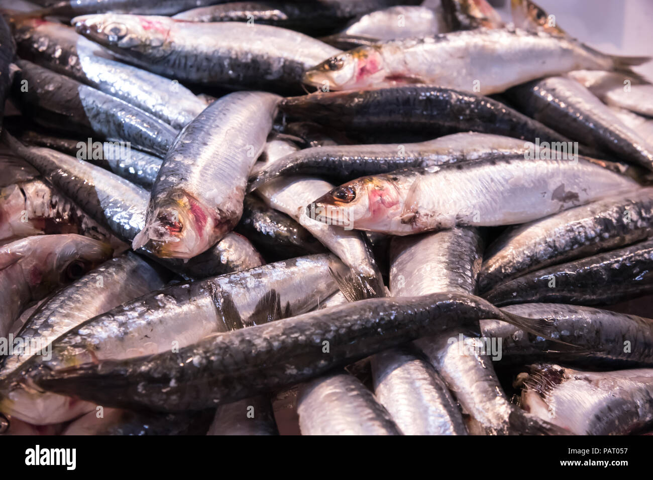A display of plenty of fresh Sardines on ice, in a fresh food market