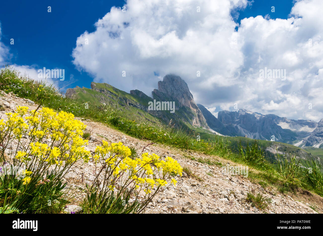 Gruppo delle Odle, view from Seceda. Puez Odle massif in Dolomites mountains, Italy, South Tyrol Alps, Alto Adige, Val Gardena, Geislergruppe Stock Photo