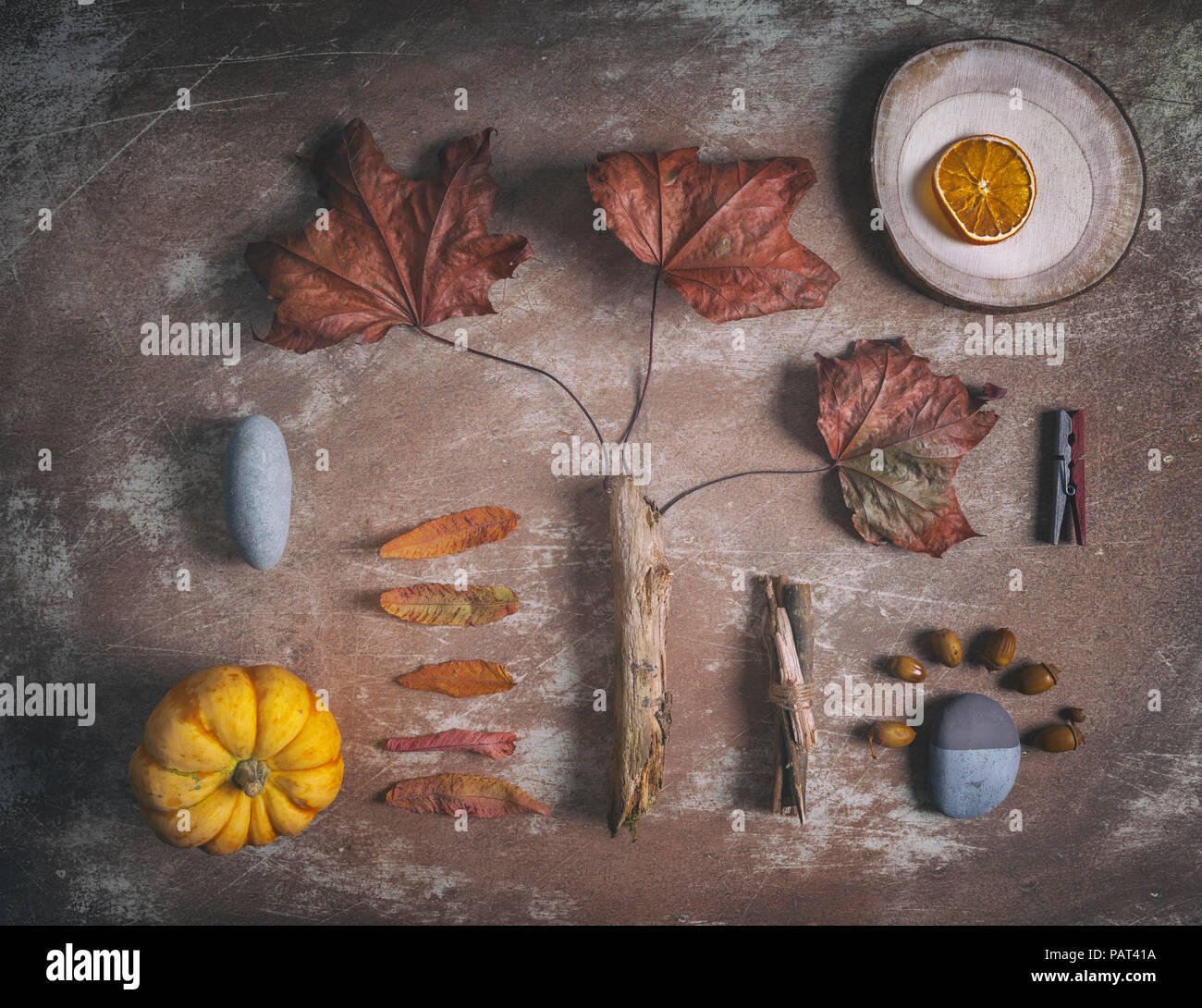 Creative flat lay of various dry autumnal objects on handmade grungy background Stock Photo