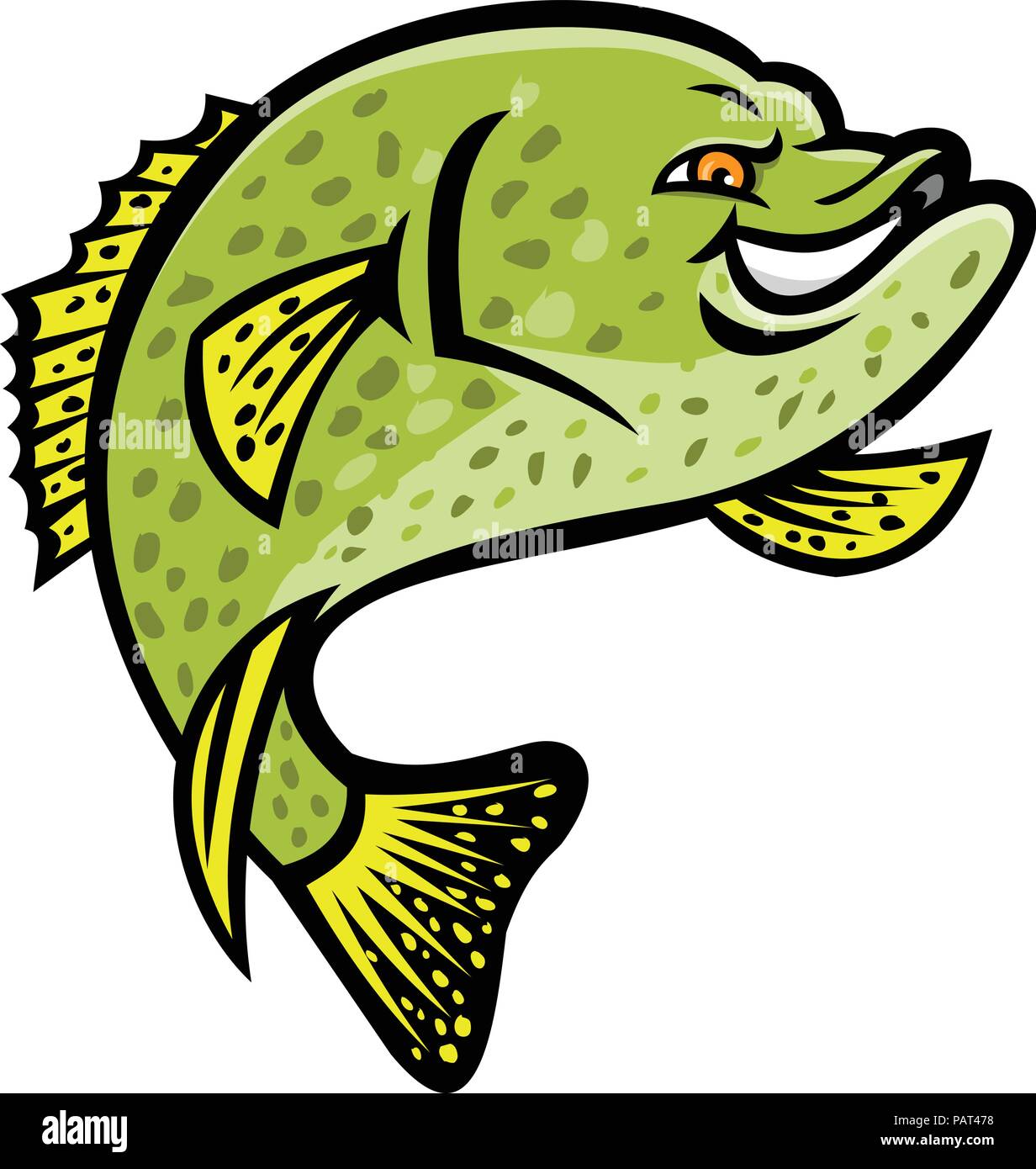 White perch fish Stock Vector Images - Page 2 - Alamy