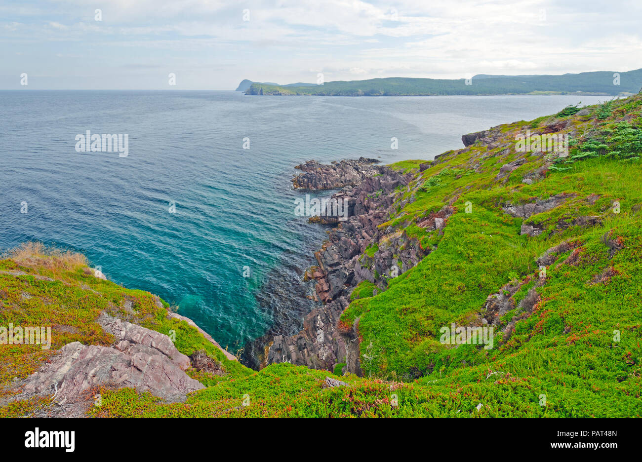 New Perlican High Resolution Stock Photography and Images Alamy