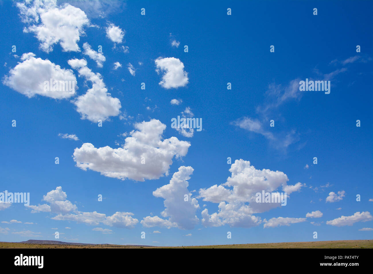 a View of the horizon with thin landscape upward to distant white fluffy clouds against gradated blue sky Stock Photo