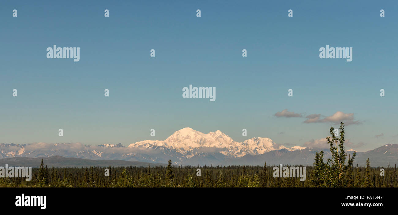 View of Denali (Mount McKinley), 'The High One' in Athabascan, against a blue sky in summertime. Tallest mountain in North America, Alaska, USA. Stock Photo