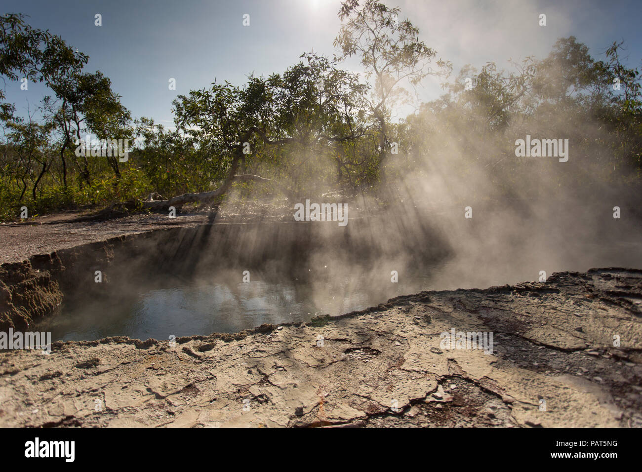Papua New Guinea, Dei Dei Hot Springs, Fergusson Island. Steam rises through trees from hot spring below. Stock Photo