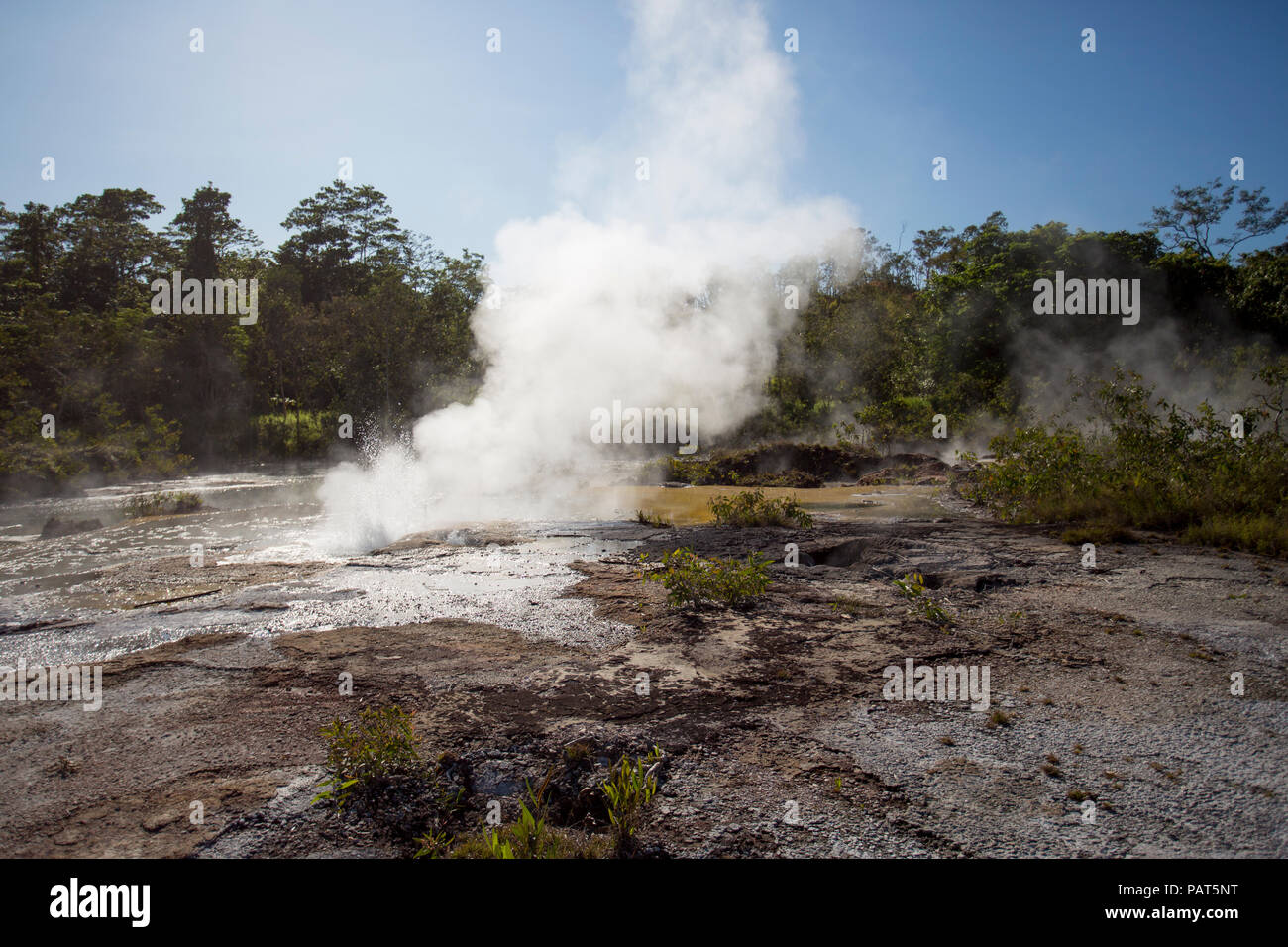 Papua New Guinea, Dei Dei Hot Springs, Fergusson Island. steam and water shooting out of a hot spring. Stock Photo