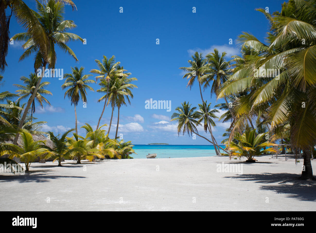 Cook Islands, Palmerston Island. Remote tropical island in the South Pacific. White sand pathway. Stock Photo