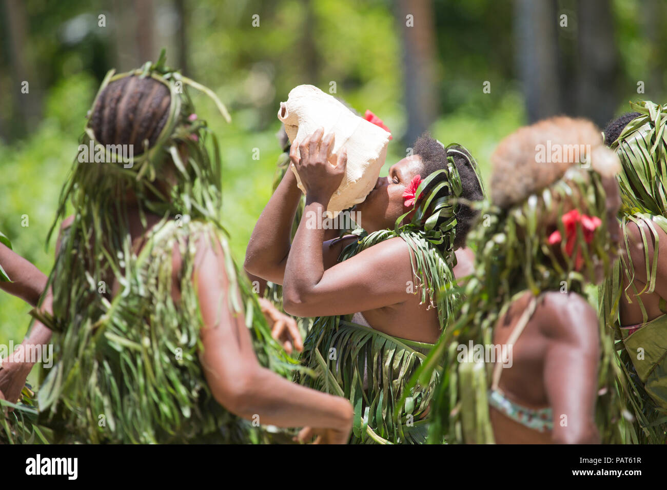 Solomon Islands, Makira-Ulawa Province, Owaraha aka Santa Ana, cultural performance, woman playing shell conch. Stock Photo