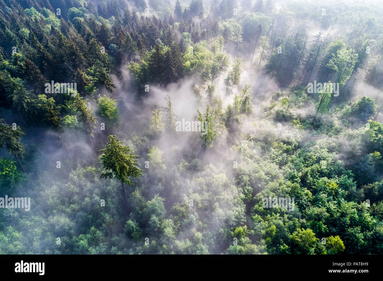 Germany, Baden-Wuerttemberg, Swabian Alb, Aerial view of Schurwald, morning fog Stock Photo
