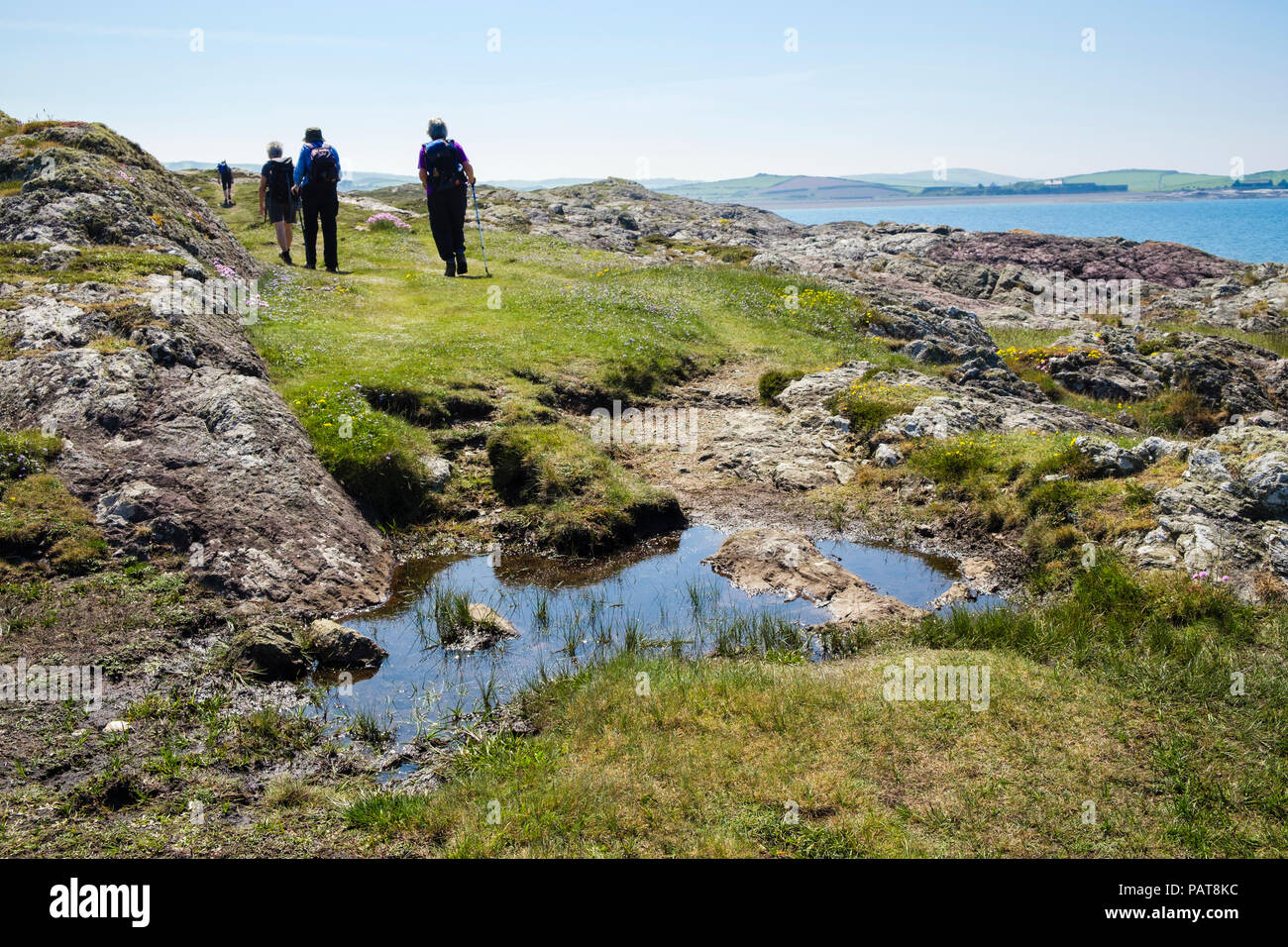 Hikers hiking on the Anglesey Coastal Path around Cemlyn Bay in summer. Cemaes, Isle of Anglesey, Wales, UK, Britain Stock Photo