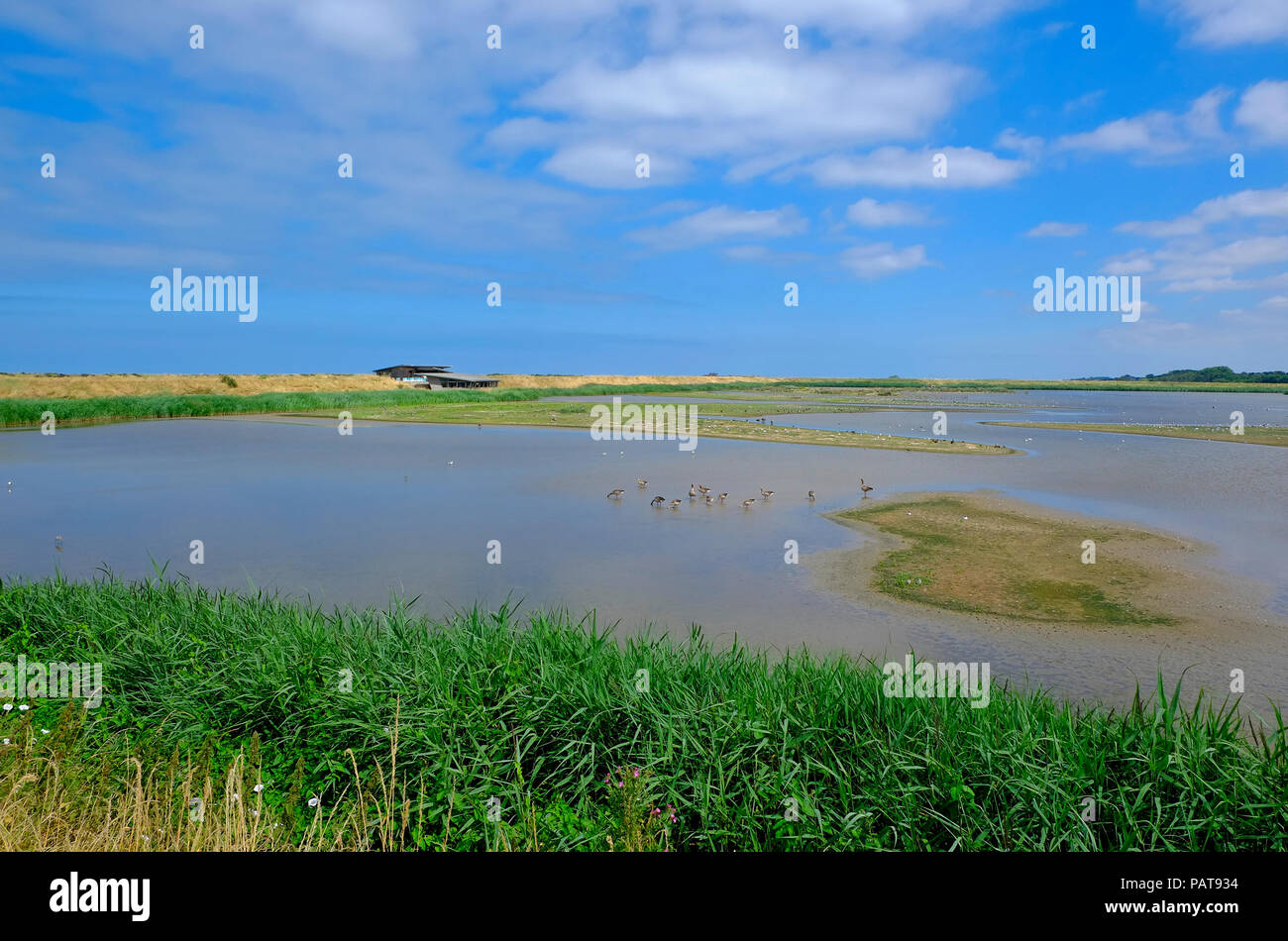 rspb titchwell nature reserve, north norfolk, england Stock Photo