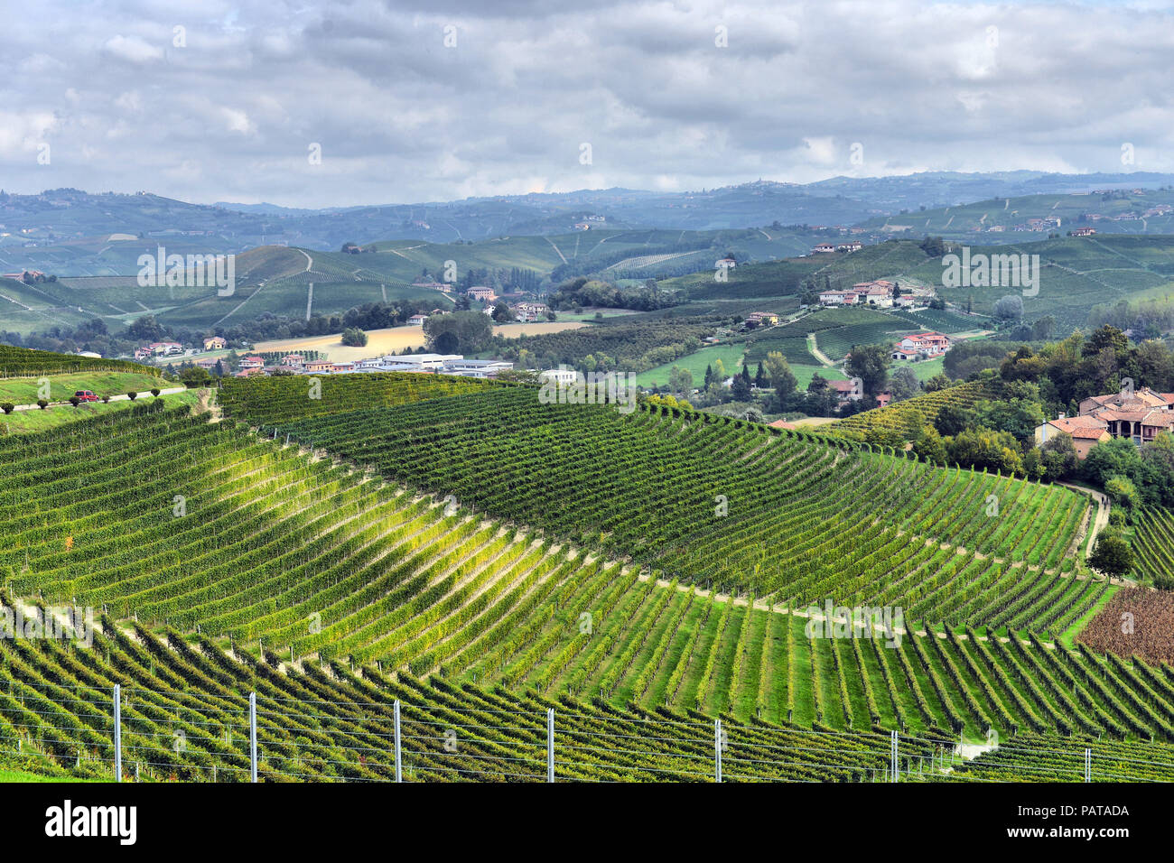 vineyards in Italy Stock Photo