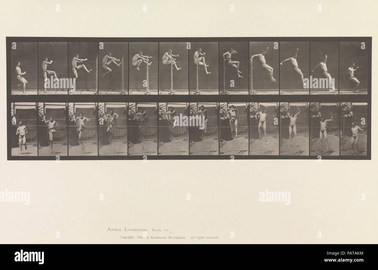 Animal Locomotion.  An Electro-Photographic Investigation of Consecutive Phases of Animal Movements.  Commenced 1872 - Completed 1885.  Volume V, Man (Pelvis Cloth). Artist: Eadweard Muybridge (American, born Britain, 1830-1904). Date: 1880s. Museum: Metropolitan Museum of Art, New York, USA. Stock Photo