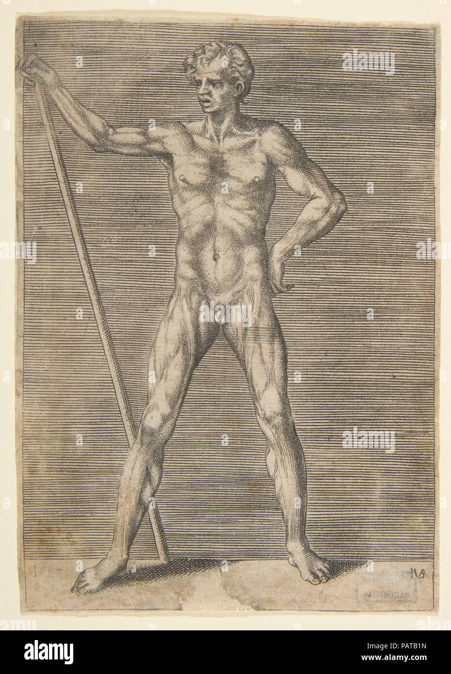Flayed man seen from in front, holding a stick. Artist: Giulio Bonasone (Italian, active Rome and Bologna, 1531-after 1576). Dimensions: sheet: 6 1/16 x 4 5/16 in. (15.4 x 11 cm). Date: ca. 1531-76. Museum: Metropolitan Museum of Art, New York, USA. Stock Photo