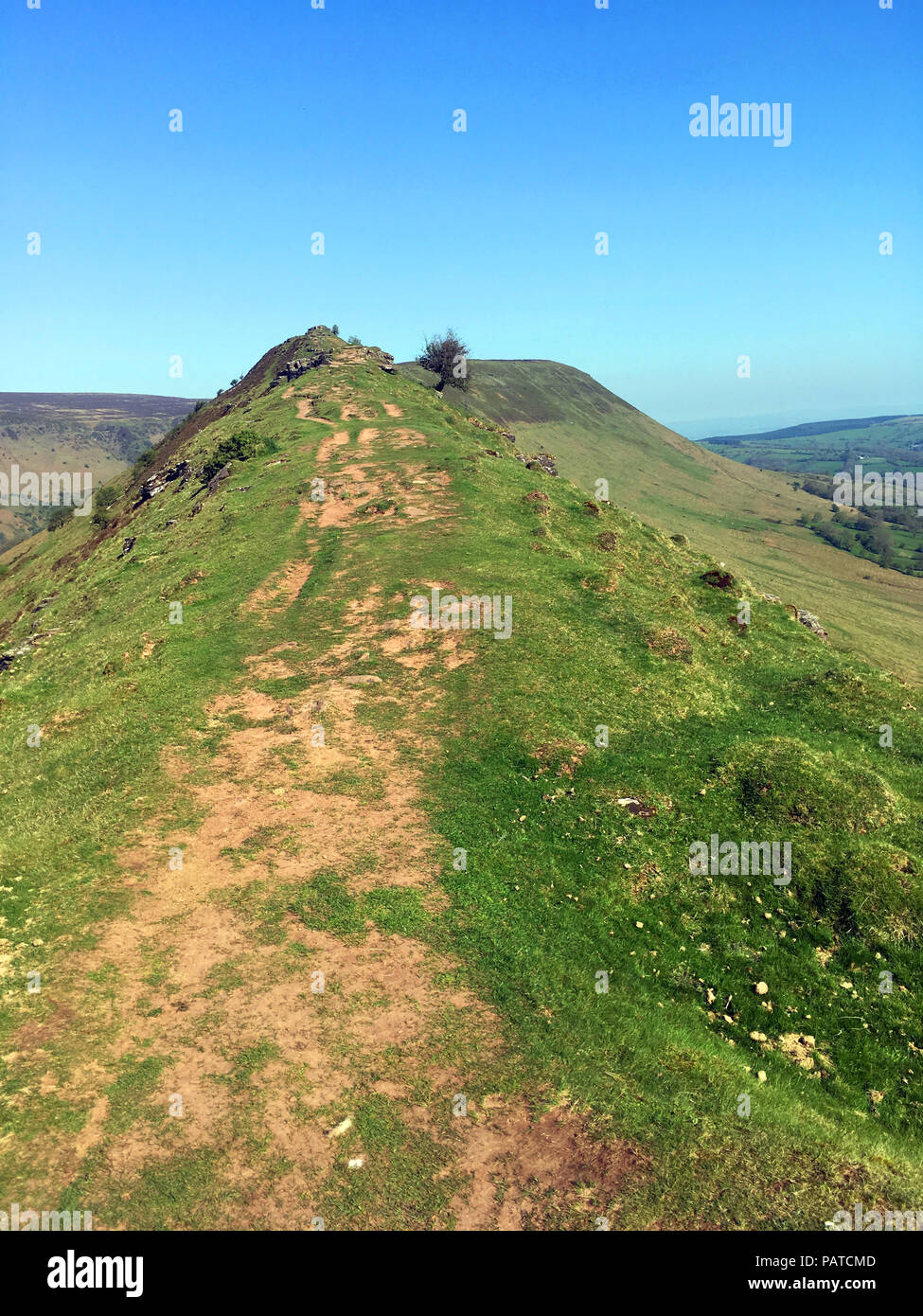 Cats Back Ridge High Resolution Stock Photography and Images - Alamy