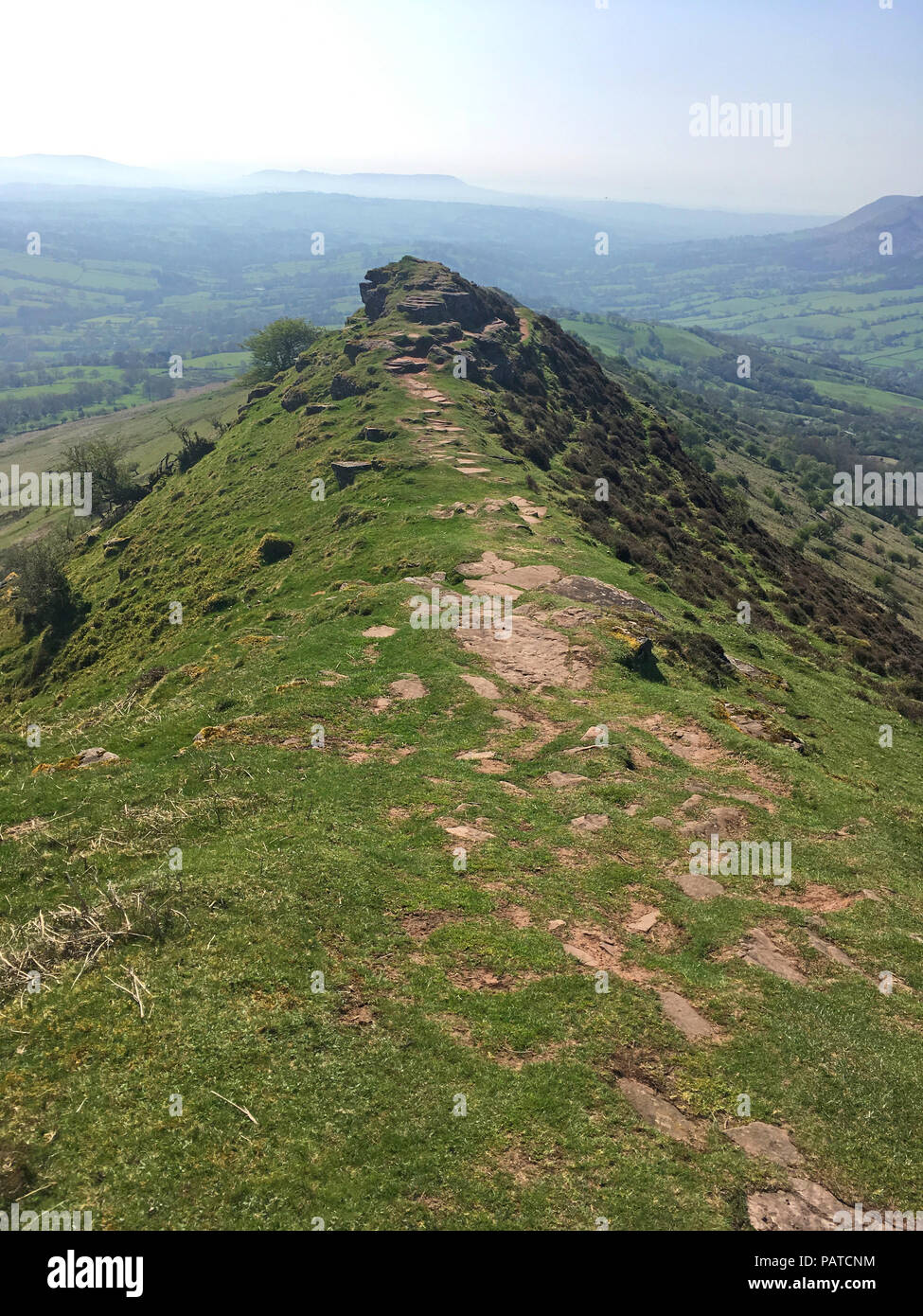 Cats ridge hi-res stock photography and images - Alamy