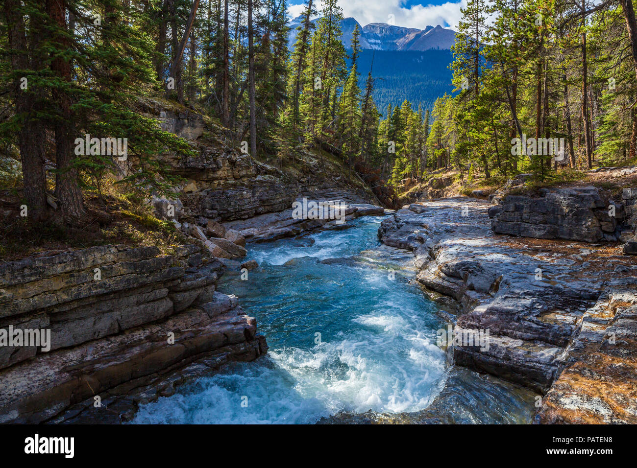 Beauty Creek Trail, Canadian Rockies, Canada Stock Photo