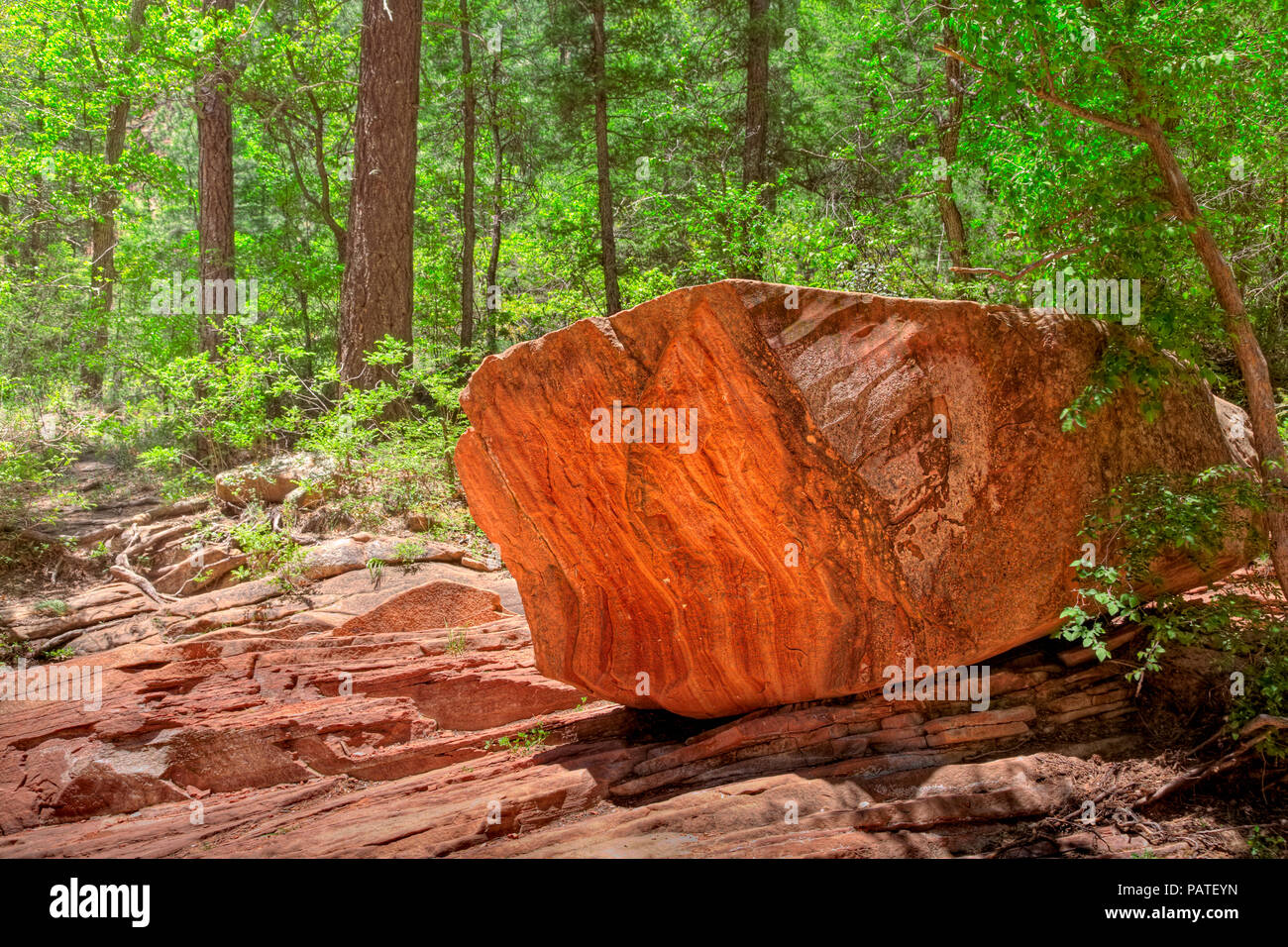 Sandstone boulder in Oak Creek, Sedona, Arizona, USA Stock Photo
