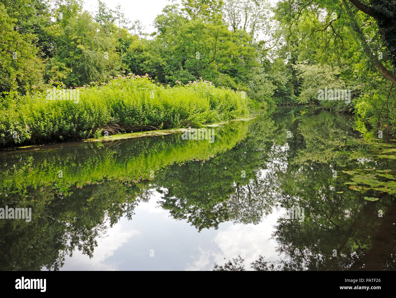 A view of the River Wensum with symmetrical reflections downstream of Hellesdon Road Bridge, Hellesdon, Norfolk, England, United Kingdom, Europe. Stock Photo