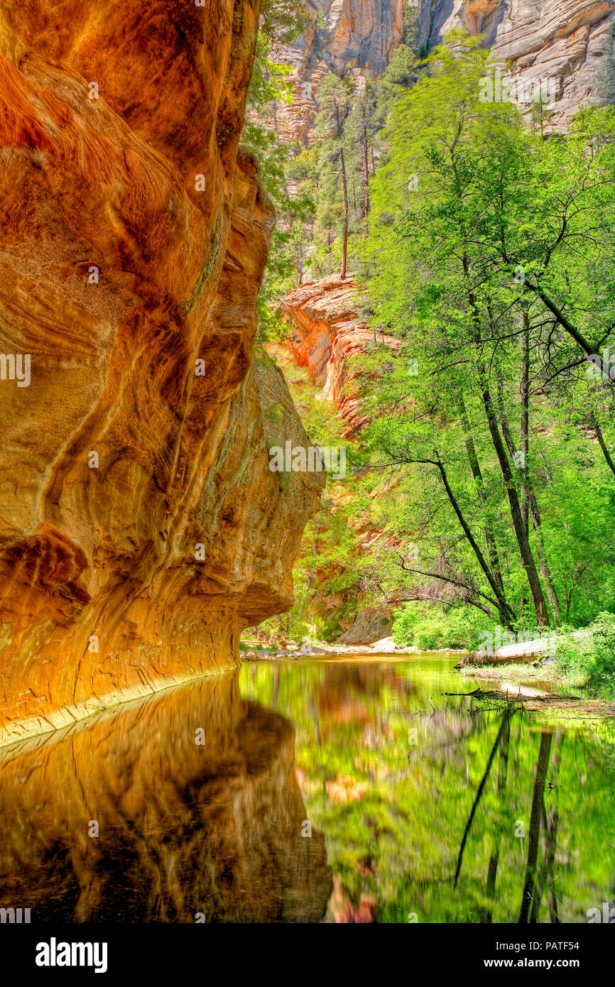 Trees and sandstone reflecting in Oak Creek, Sedona, Arizona, USA Stock Photo