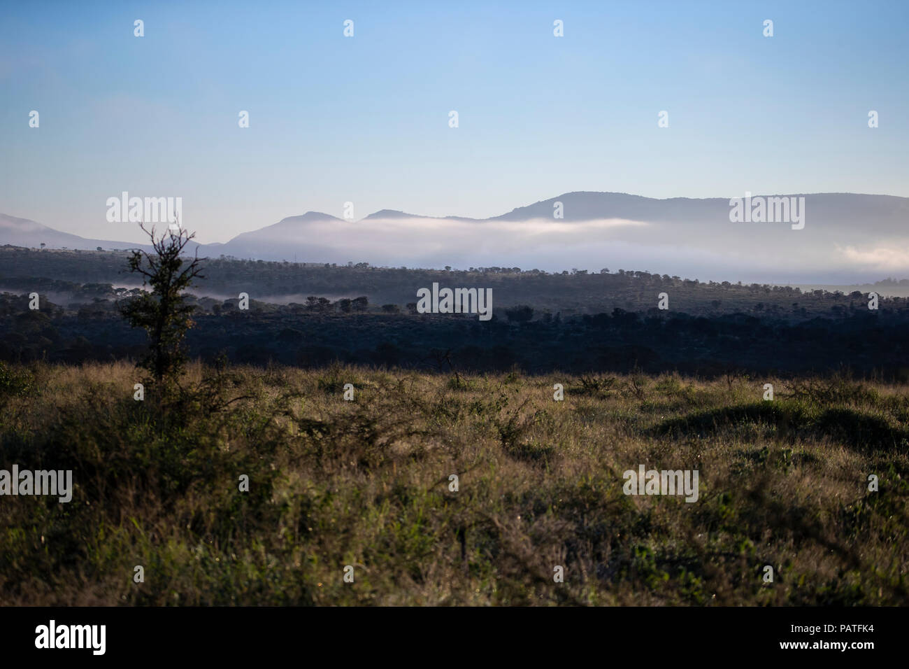 Dawn breaks on the Zimanga private game reserve in KwaZulu Natal, South Africa. Stock Photo