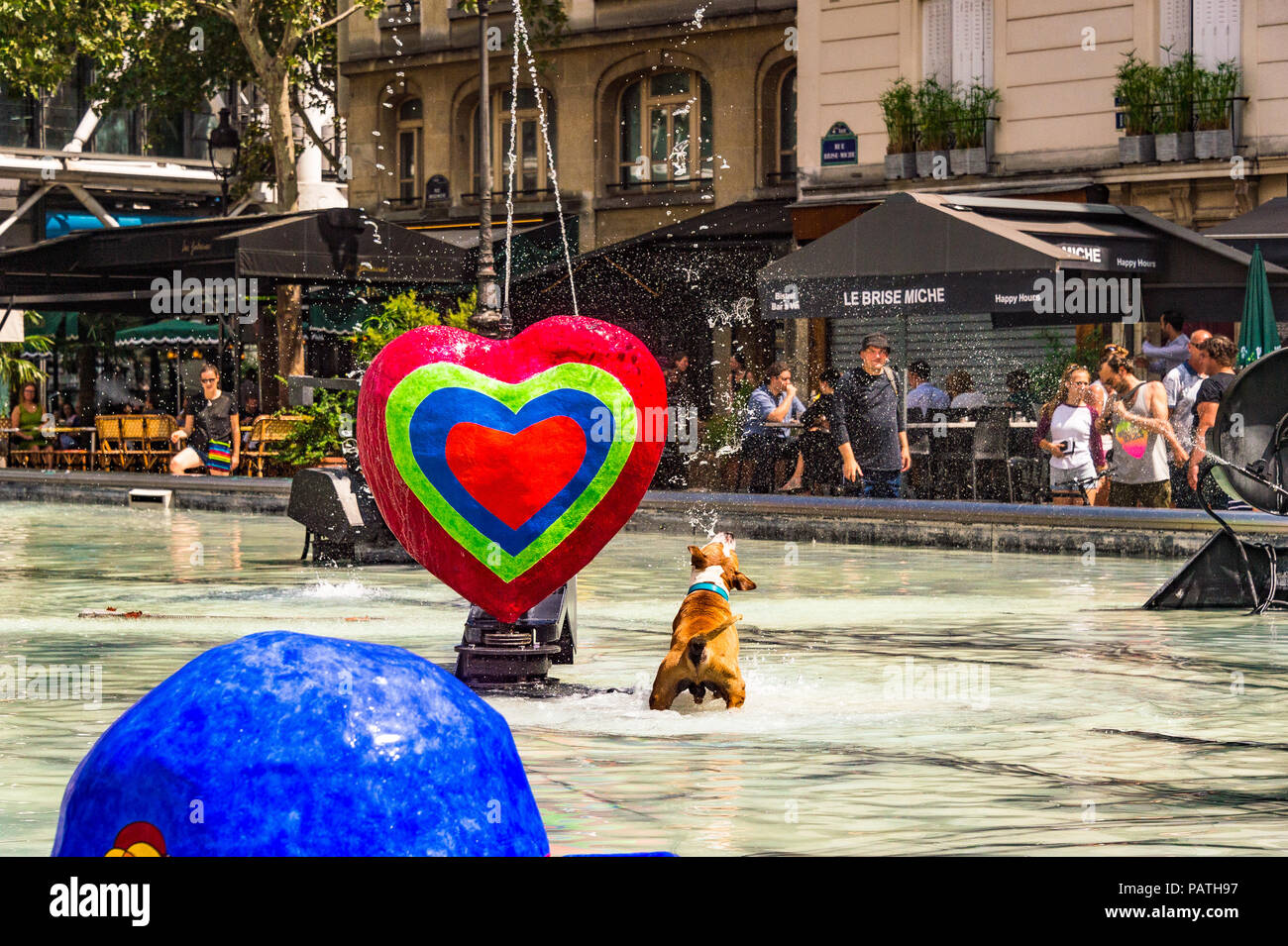 A dog plays in the Stravinsky Fountain, next to the Centre Pompidou, Paris, France Stock Photo