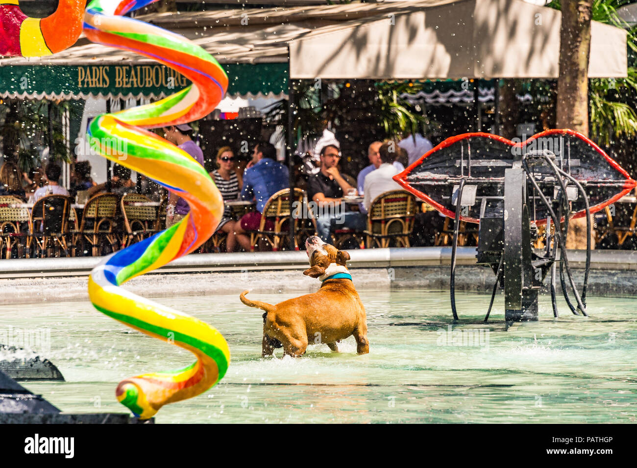 A dog plays in the Stravinsky Fountain, next to the Centre Pompidou