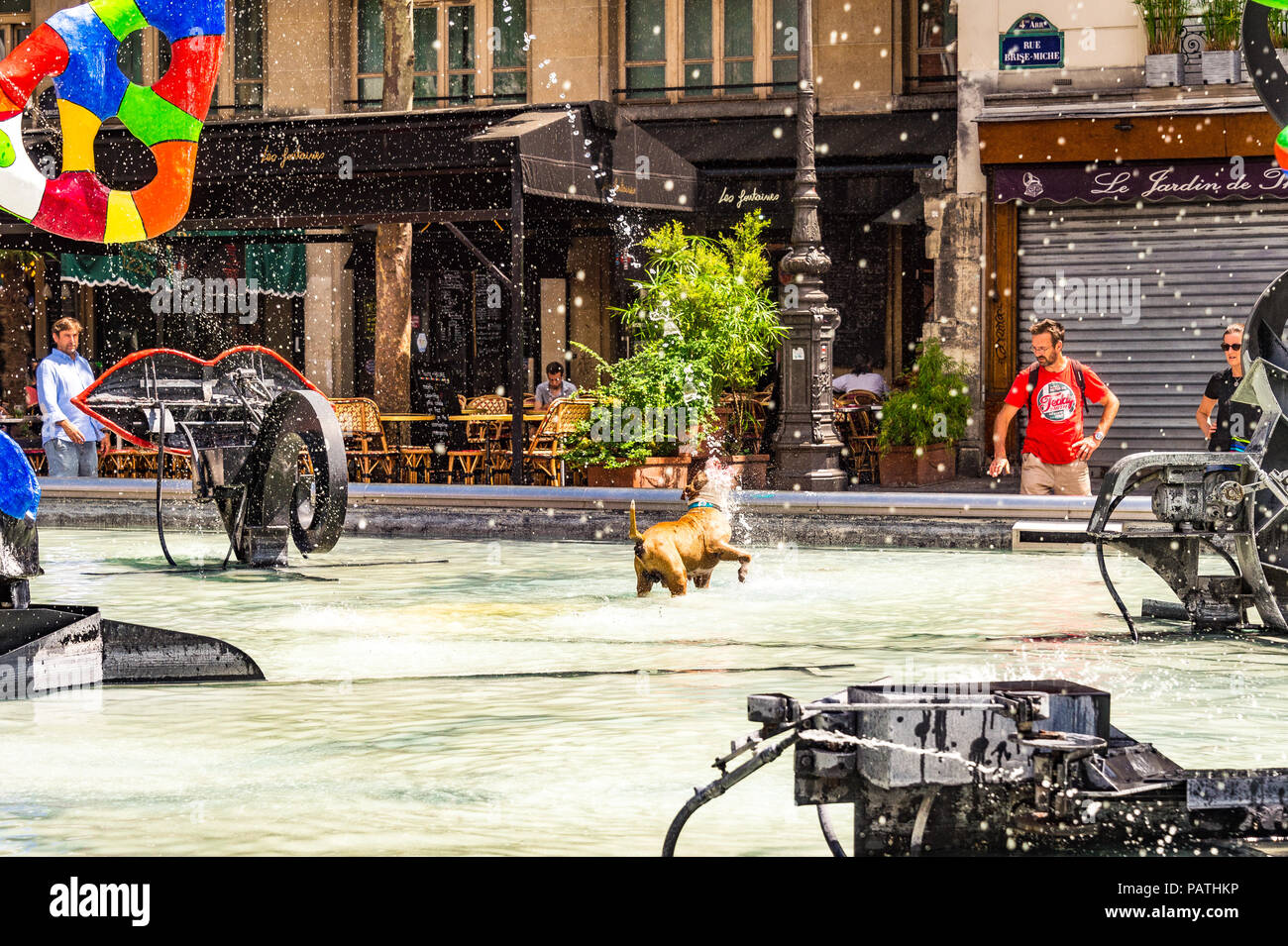 A dog plays in the Stravinsky Fountain, next to the Centre Pompidou