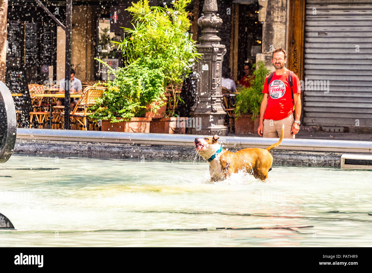 A dog plays in the Stravinsky Fountain, next to the Centre Pompidou