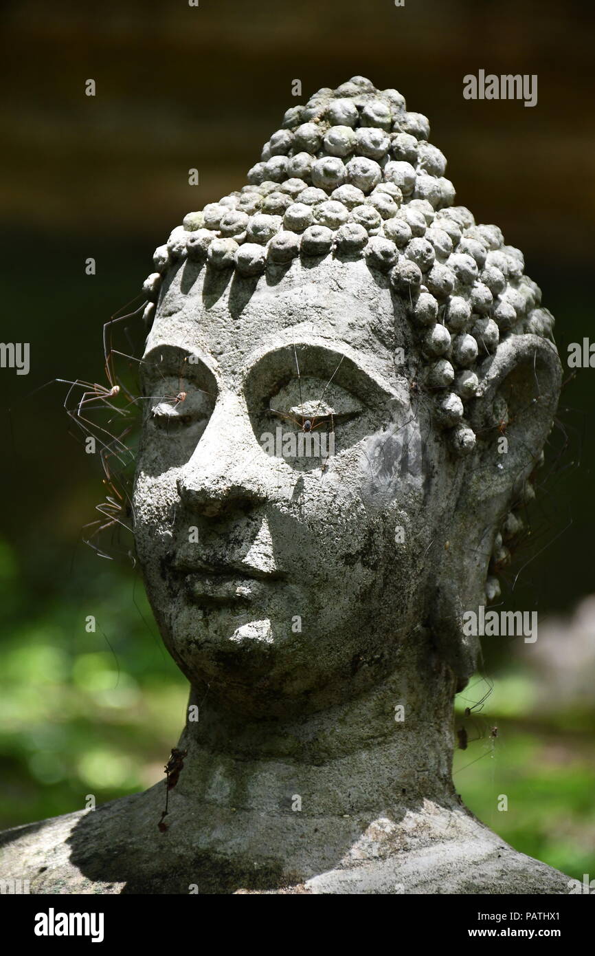 Close up of Buddha statue relic in an outdoor garden at Wat Umong in Chiang  Mai, Thailand Stock Photo - Alamy
