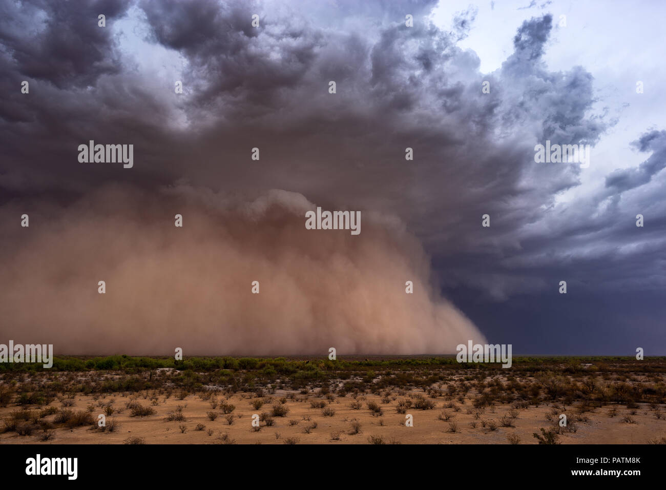 Haboob (dust storm) moves across the Arizona desert during the summer monsoon season Stock Photo