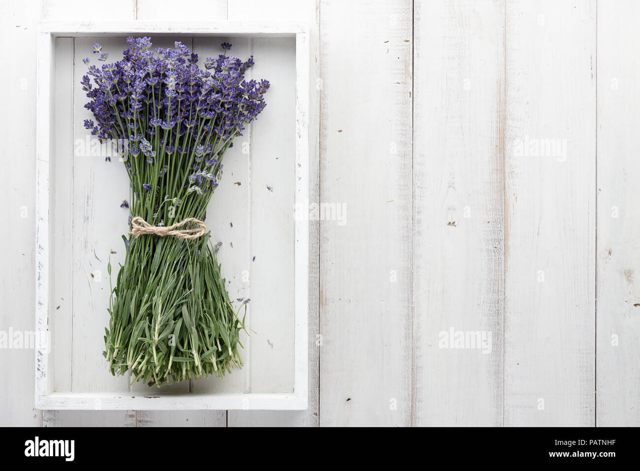Lavender flowers bouquet on white wooden planks Stock Photo