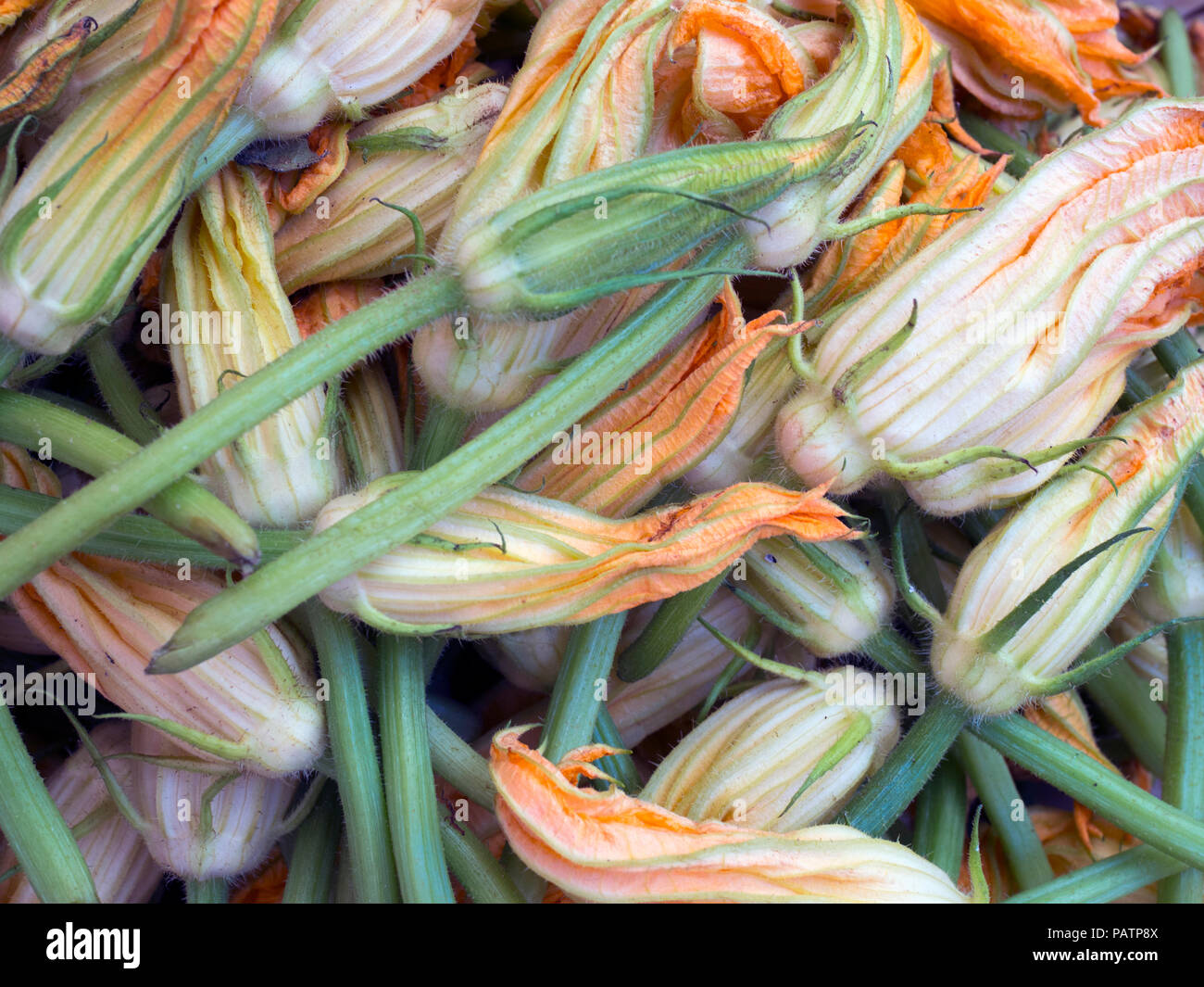 Male zucchini, or courgette, flowers at a fresh food market in Palermo