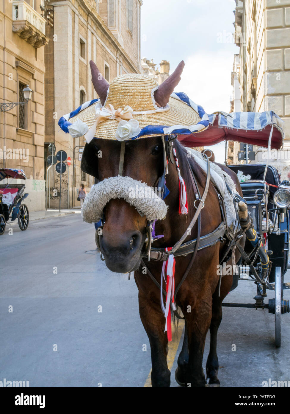 horse sun hat