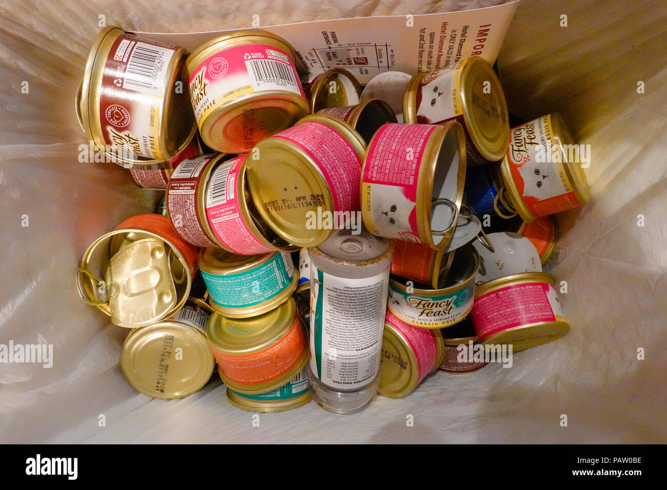 Empty cat food cans in a kitchen recycling bin Stock Photo Alamy