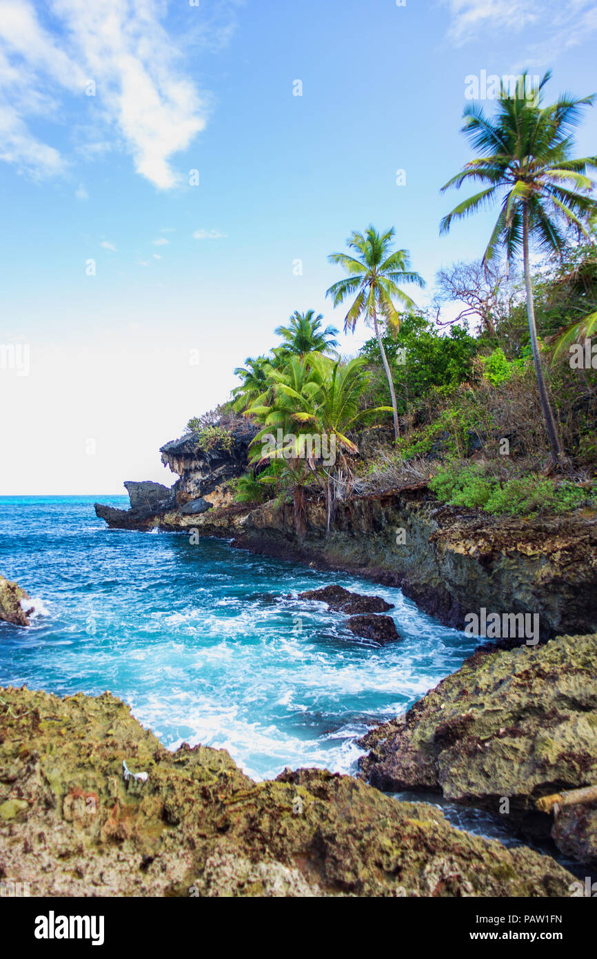 Wild tropical rocky shore, bay, lagoon. Sea Splash, Green palm trees on the rocks. Las Galeras, Samana, Dominican Republic Stock Photo