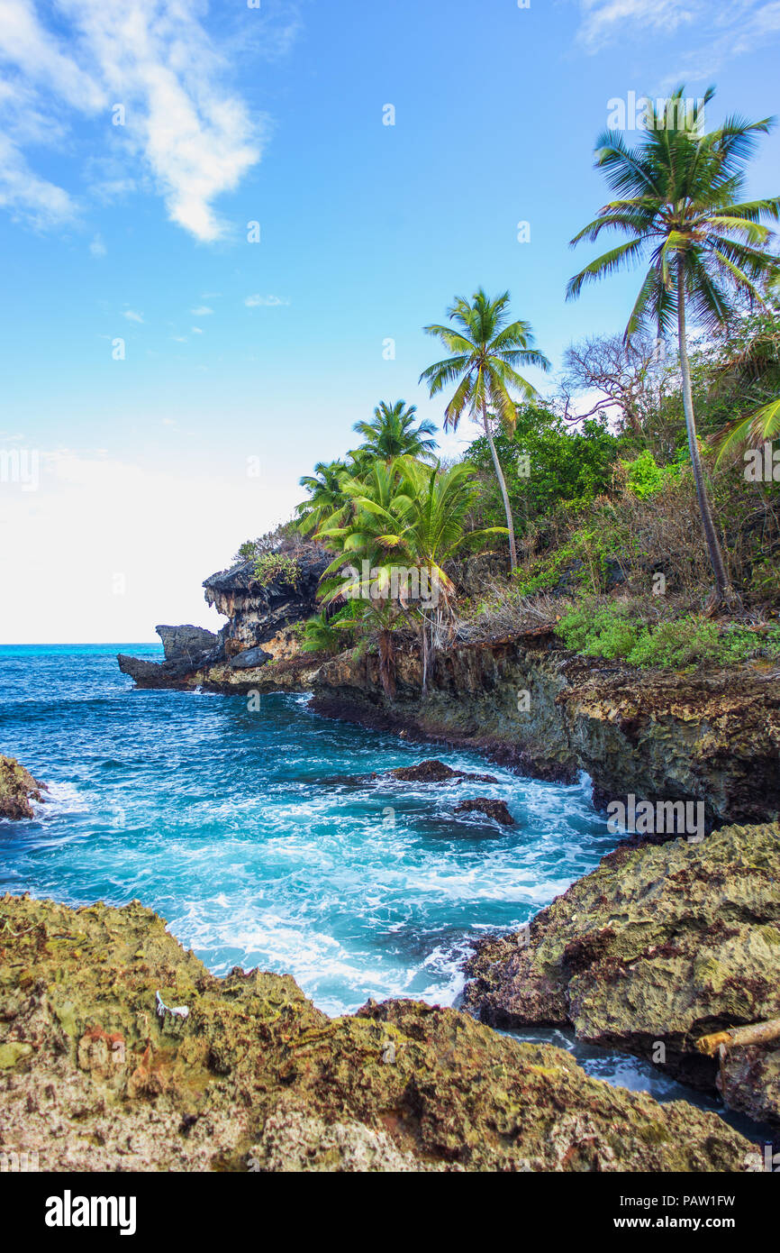 Wild tropical rocky shore, bay, lagoon. Sea Splash, Green palm trees on the rocks. Las Galeras, Samana, Dominican Republic Stock Photo