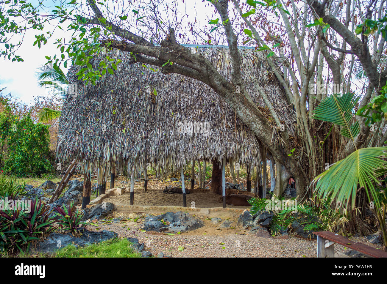 Traditional bure with thatched roof.  Dominican republic Stock Photo