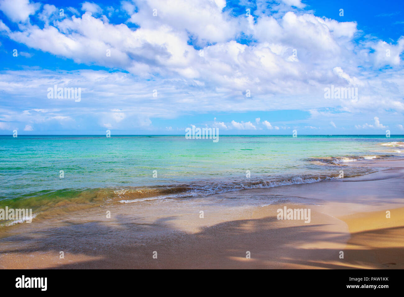 Ideal vacation. Perfect beach in Dominican Republic. Blue sea, hight palm trees and blue sky Stock Photo