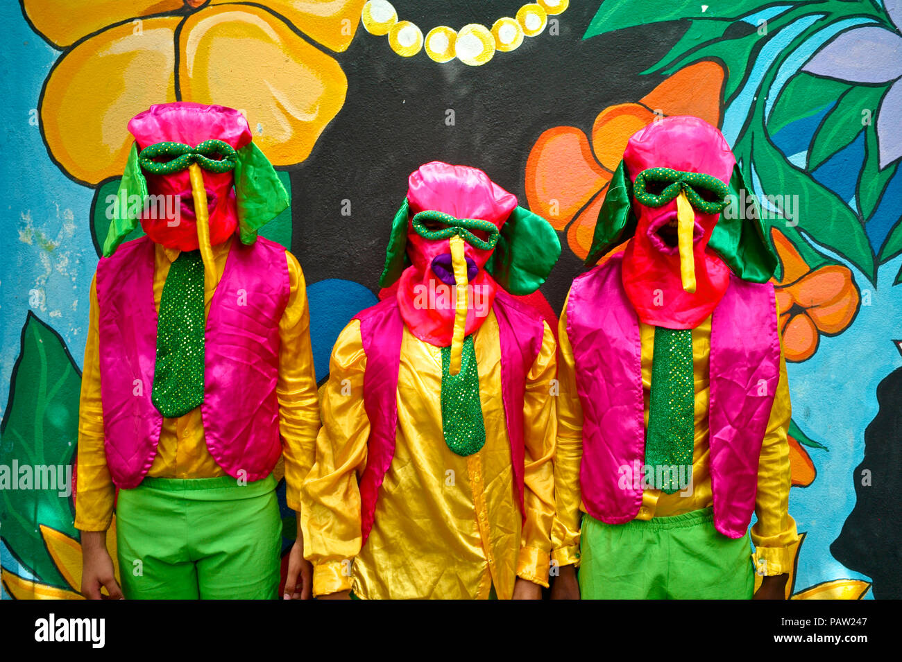 One of the most important and known character is the Marimonda, originated in Barranquilla, this character is represented by its own dance moves. The  Stock Photo