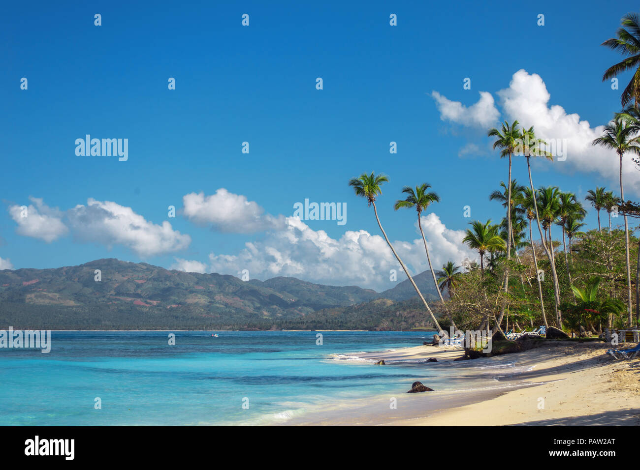 perfect Caribbean landscape with high palm trees. Vacation concept, Dominican Republic Stock Photo