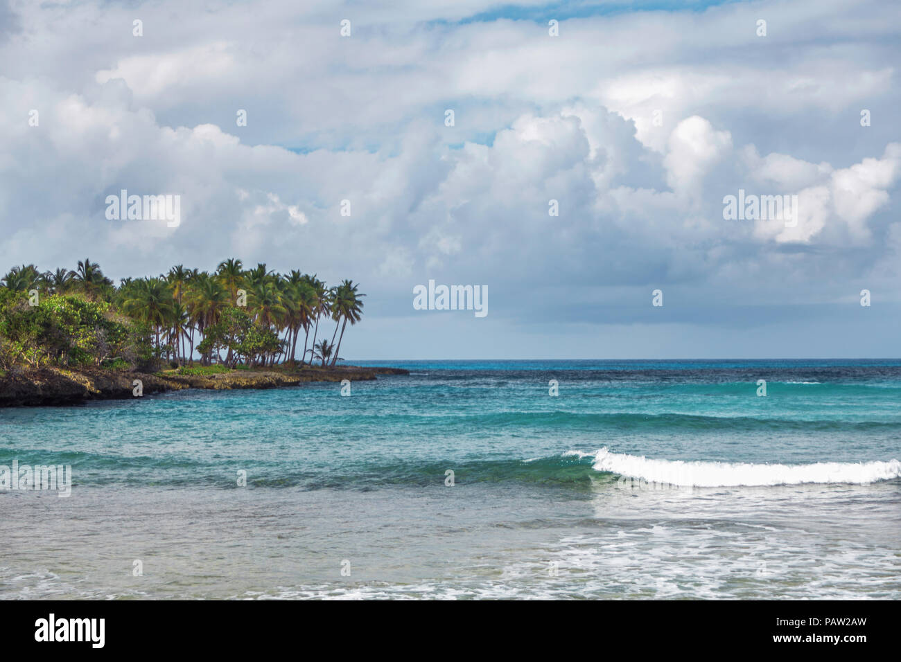 sea surf in Samana, Dominican Republic. Sea, shore with palm trees and sky with storm clouds Stock Photo