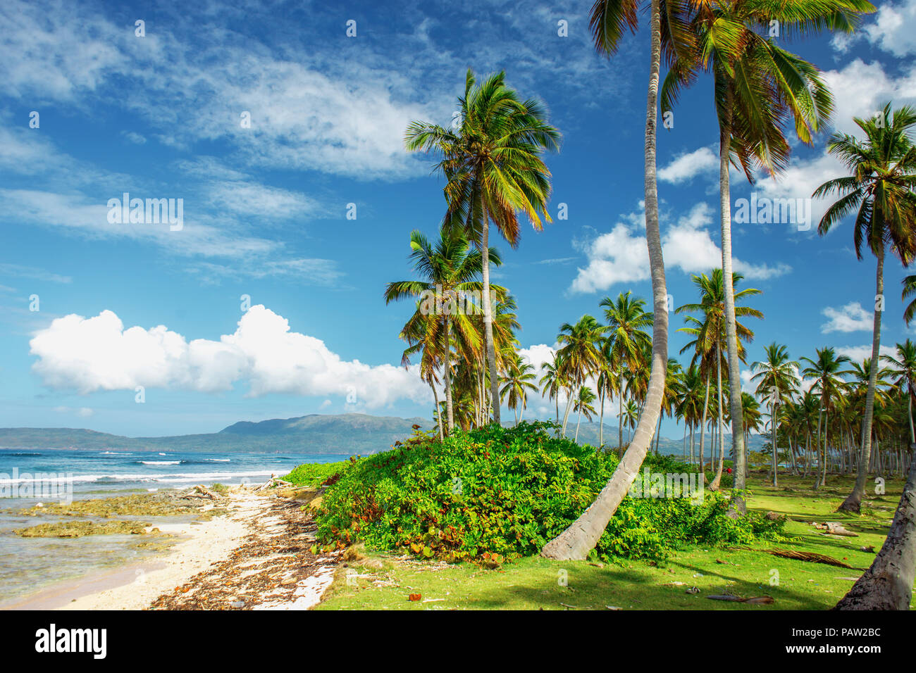 stunning picturesque scenic beautiful Caribbean landscape, Dominican Republic. Sea, palms, blue sky Stock Photo